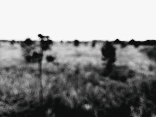 无题（个人主页-ZMjM2NDU3NzY=） - 其他摄影 - 站酷设计师小隐西亭原创素材 - 站酷ZCOOL