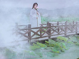 喜欢的东西