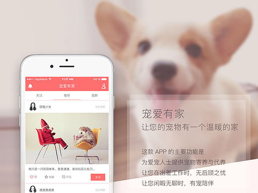 原创宠物类APP