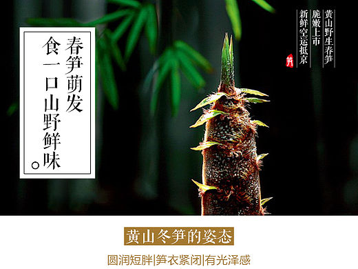 詳情頁-生鮮（個人主頁-ZMTU4MDc1MDg=） - 運營設(shè)計 - 站酷設(shè)計師四年原創(chuàng)素材 - 站酷ZCOOL