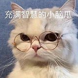 Smallliz的头像