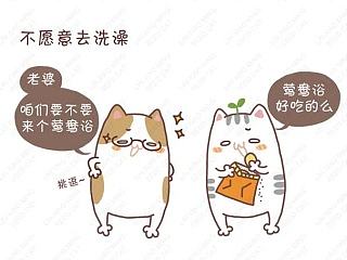 冬日里的你中枪了吗