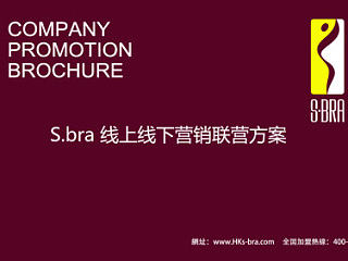 S.BRA品牌内衣策划案 773906974