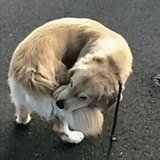 达同学的头像