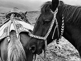 ?? | 【?用iPhone拍攝】