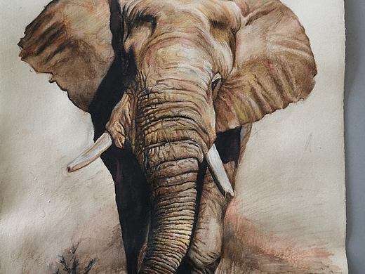 大二時期畫的大象（個人主頁-ZNDEyMTc1MDA=） - 藝術(shù)插畫 - 站酷設(shè)計師想做一名吃貨原創(chuàng)素材 - 站酷ZCOOL