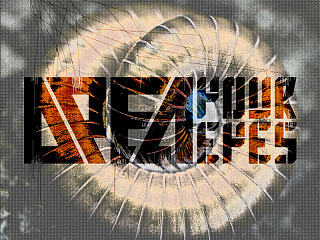 Millipede(千足虫)