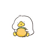 密大的头像