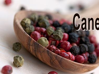 全屏网页01（个人主页-ZMTcwODg2MzI=） - 其他网页 - 站酷设计师九勺抹茶酱原创素材 - 站酷ZCOOL