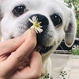 酱酱小匠的头像