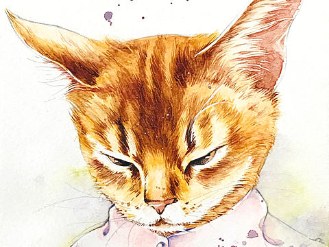 嘿，都是喵啊！看你很不爽。（个人主页-ZNDgzNjA2NjQ=） - 创作习作 - 站酷设计师爱做梦的猫原创素材 - 站酷ZCOOL