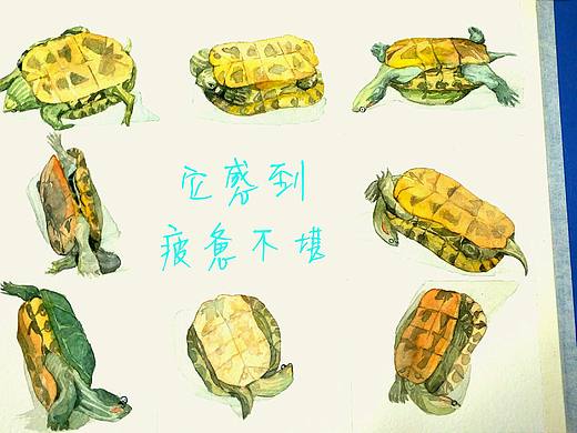 中外文学插图（个人主页-ZMjIwNjI3NDQ=） - 创作习作 - 站酷设计师Juviv原创素材 - 站酷ZCOOL