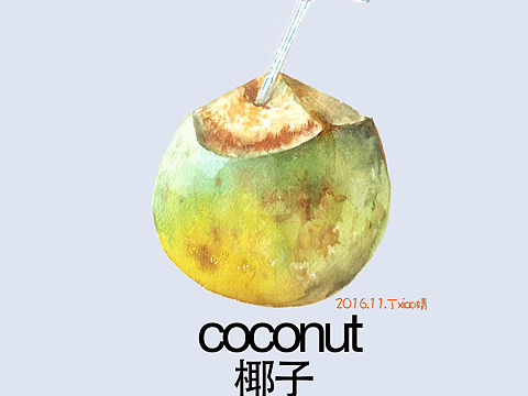 手绘水彩水果系列之椰子每日一图