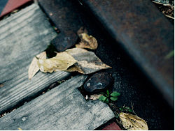 品味厦门、体验自然（个人主页-ZMzAwMzE4MA==） - 风光摄影 - 站酷设计师KWEIYANG原创素材 - 站酷ZCOOL