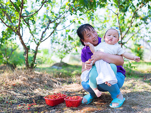儿童摄影|晨晨一家采樱桃