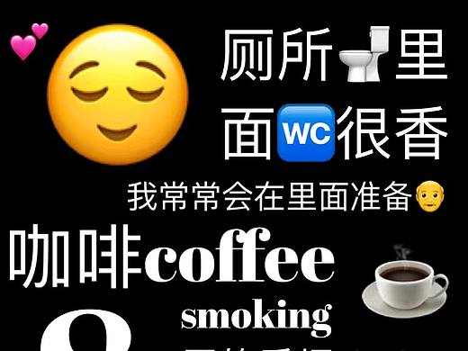 将 我的厕所 作为展览 做了一张海报