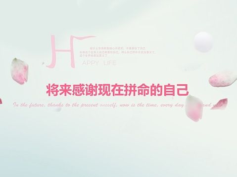 花瓣banner
