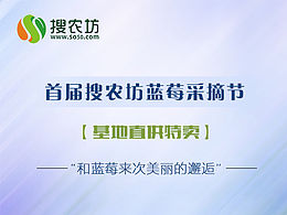 banner、廣告圖