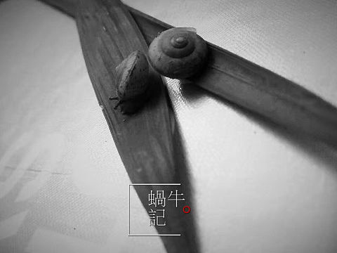 蜗牛记
