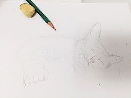 彩鉛練習：貓咪