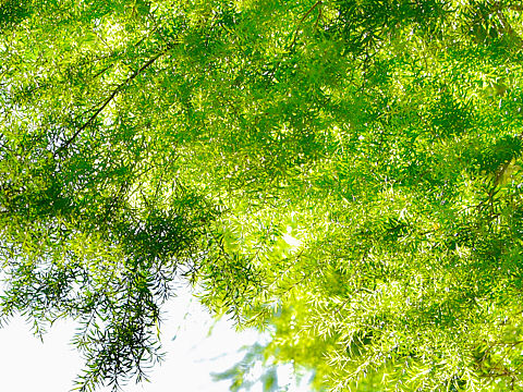 生活細(xì)碎，萬物成詩(shī)（個(gè)人主頁-ZNTY5MTE2ODg=） - 其他攝影 - 站酷設(shè)計(jì)師楊一噸原創(chuàng)素材 - 站酷ZCOOL