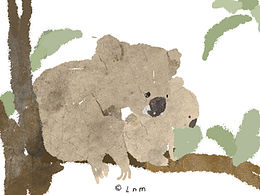 宝贝的素材