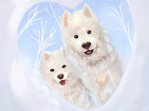 雪中的狗狗