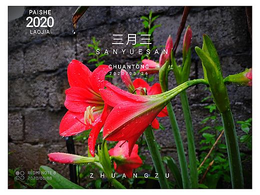 攝影花（個(gè)人主頁(yè)-ZNDY2MzM0MzI=） - 其他攝影 - 站酷設(shè)計(jì)師兩只人字拖原創(chuàng)素材 - 站酷ZCOOL