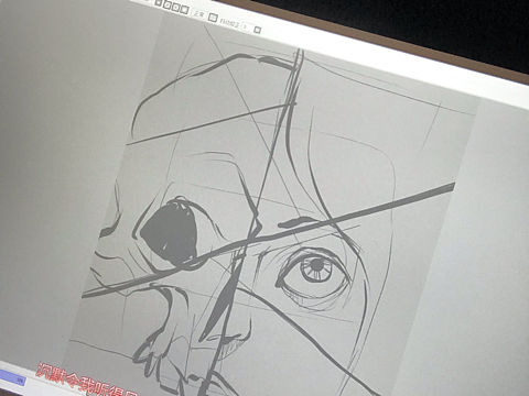 女人骨