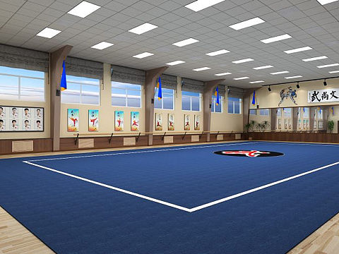 北京中关村中学武术馆3D图设计