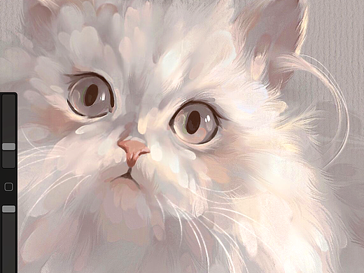 宠物约稿金吉拉