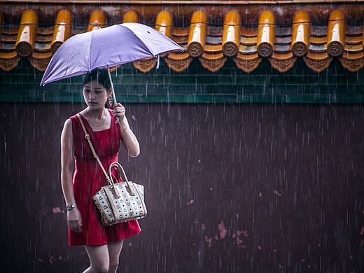 颐和园·雨