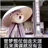 青禾念故人的头像