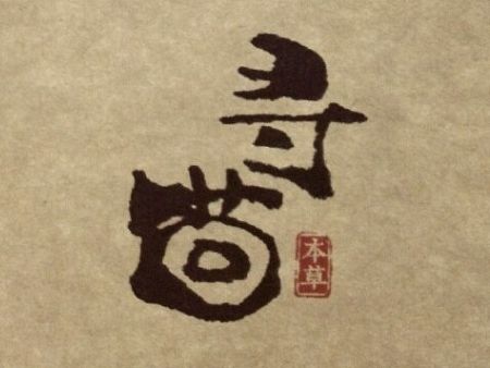 寻茴本草（个人主页-ZMTI5NjE2OTY=） - Logo - 站酷设计师熊迪原创素材 - 站酷ZCOOL