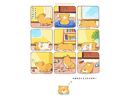 关于这一年我养了只小柯基的故事