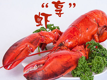 每日的微信推广 