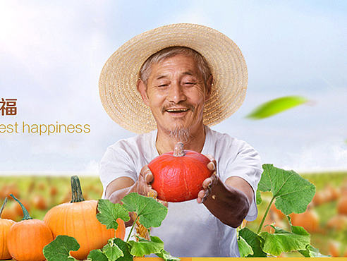 农业 网站