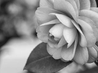 走向。。。。。。