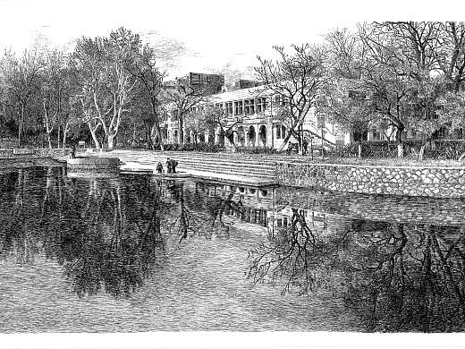 逝去的南开大学美景