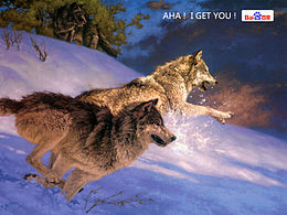 Aha, I get you!