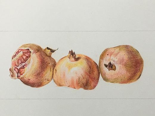 彩铅手绘（个人主页-ZMTkwMDg0MTY=） - 创作习作 - 站酷设计师Esmeris原创素材 - 站酷ZCOOL