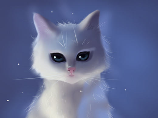 动物插画