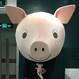 SCIR6的头像