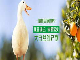 农产品