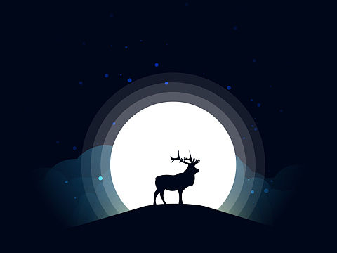 月光漫步（个人主页-ZMjE2ODc1ODA=） - 图案 - 站酷设计师Ocereus原创素材 - 站酷ZCOOL