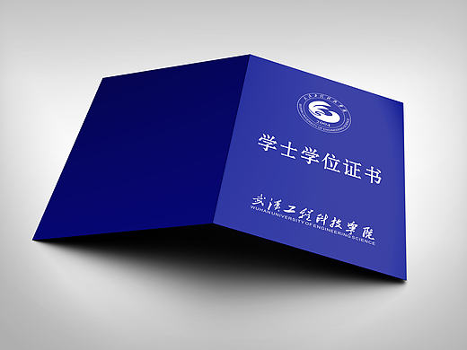 武汉工程科技学院学士学位证设计