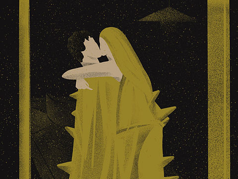 爱是一种水果更新