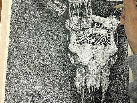 羊骨/点绘