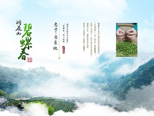 碧螺旗舰店店铺首页