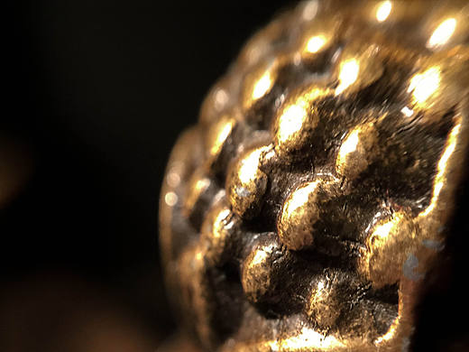 微距鏡頭下的微觀世界